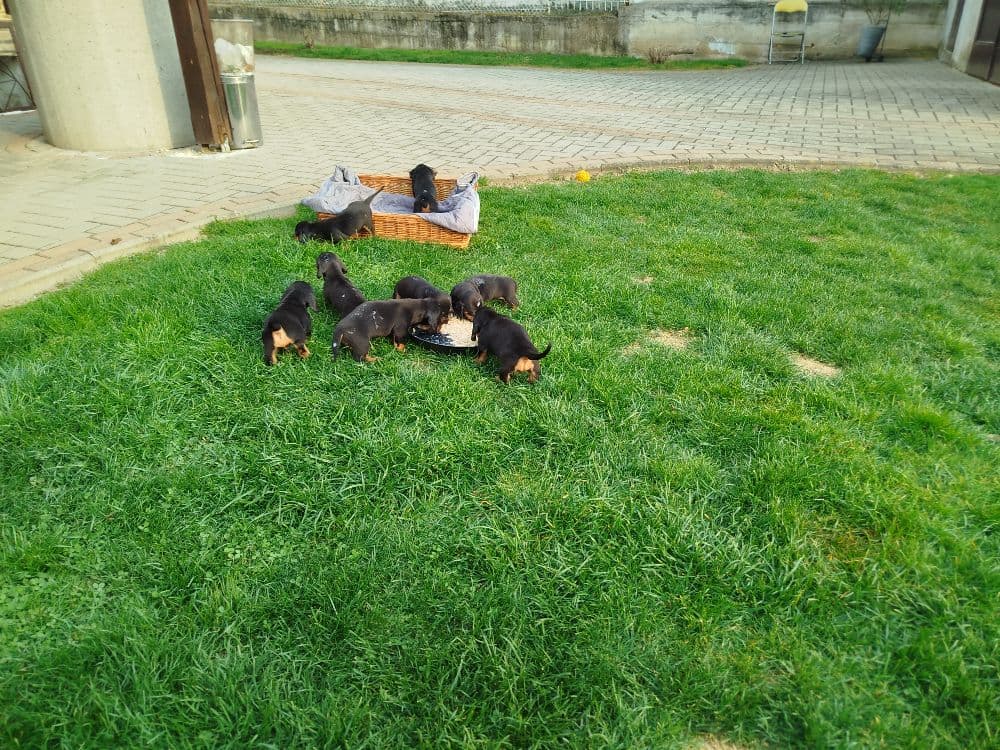 1774379941285-IMG_20260324_165351