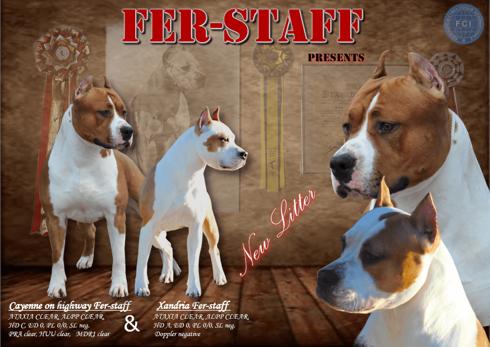 1775053862315-IMG_6179