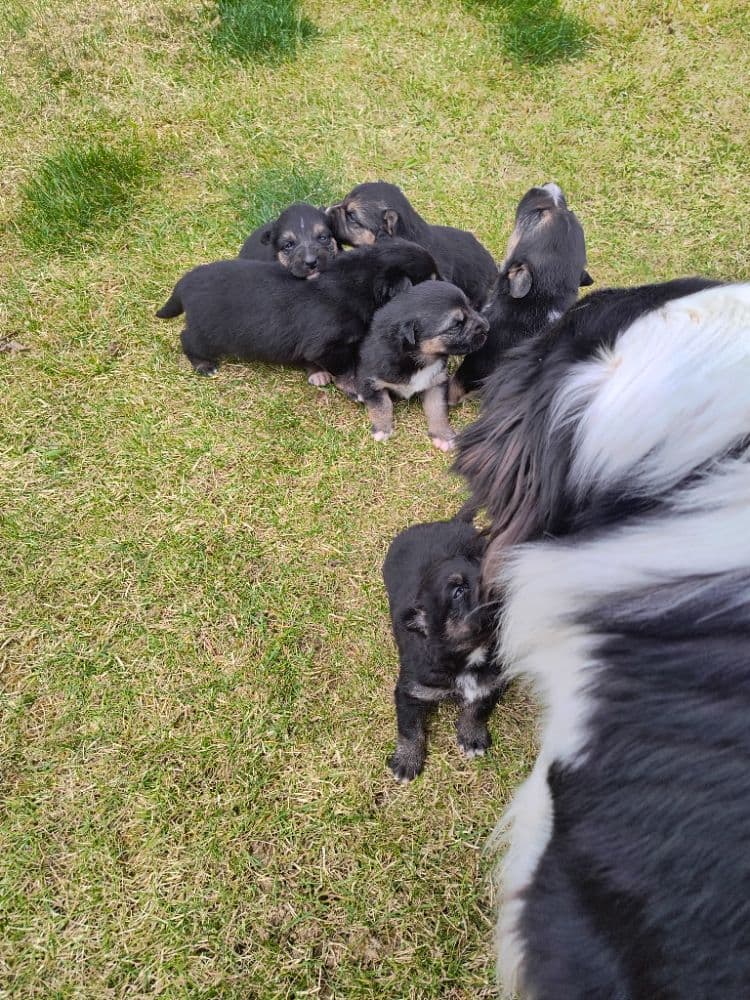 1775332813513-1000024066