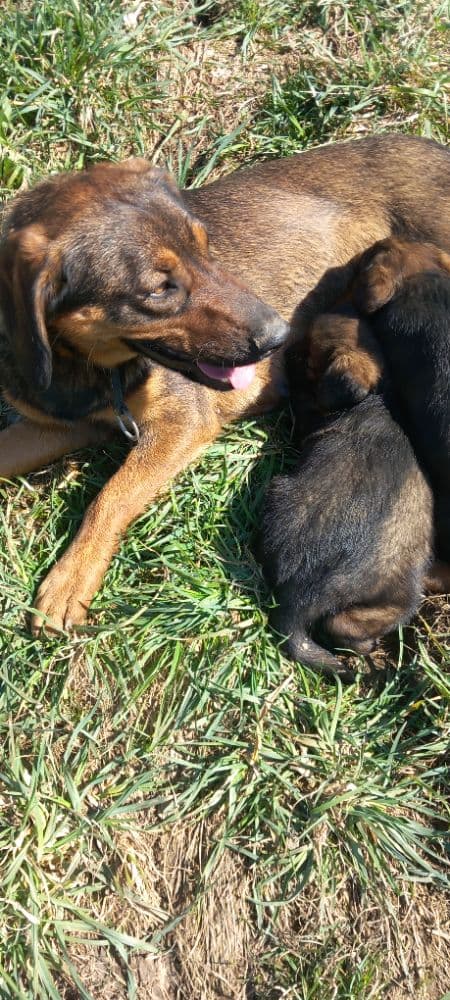 1775359505578-1000054947