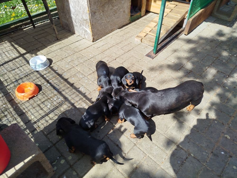 1776712197331-IMG_20260420_112541