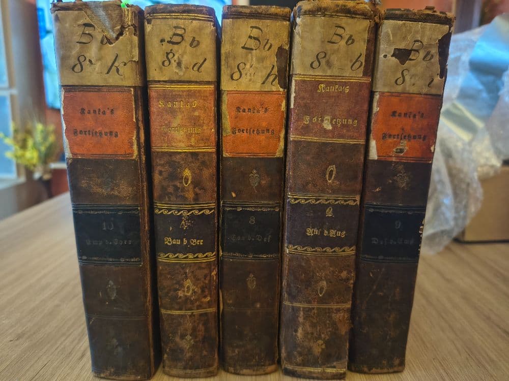 1780335554527-1000047367