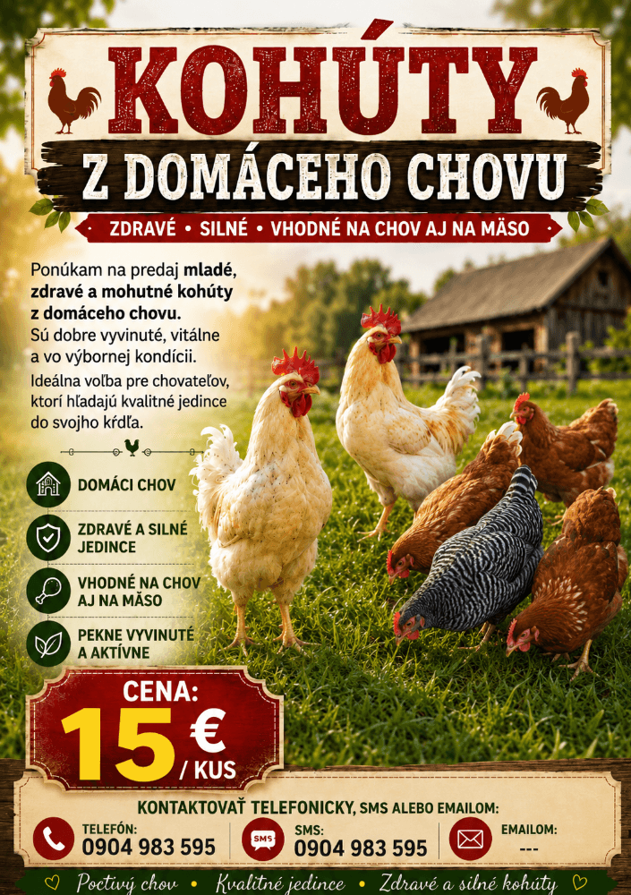🌿 Predám odrastených mladých kohútov z domáceho chovu 🌿 - 1