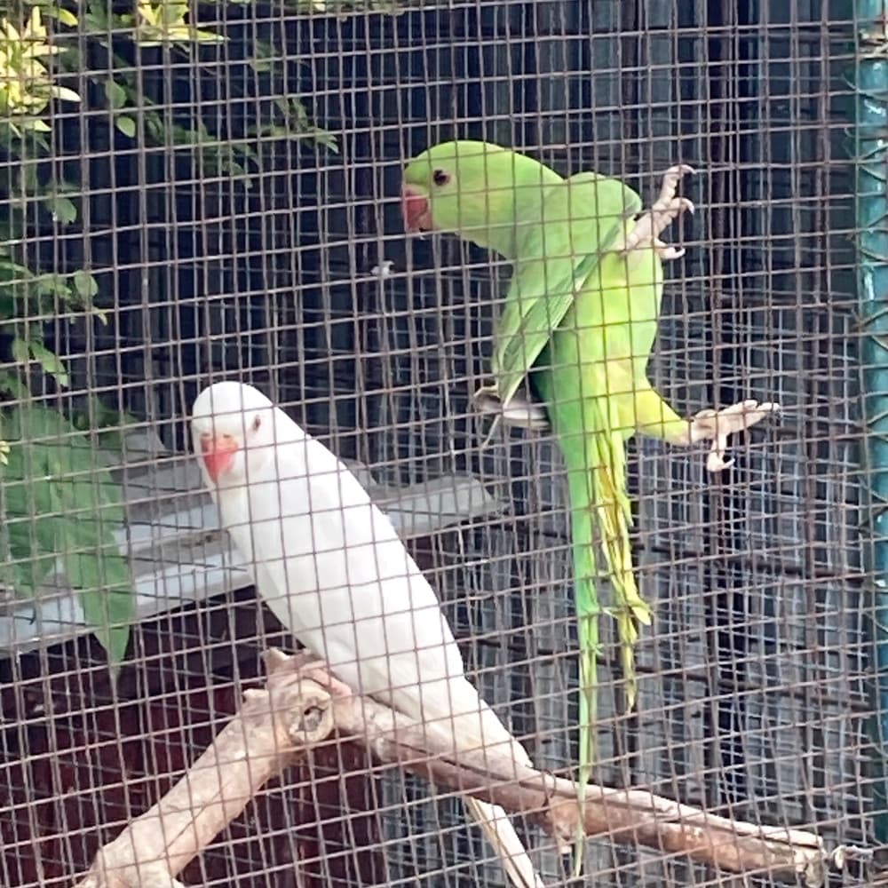 1784443530944-IMG_5275