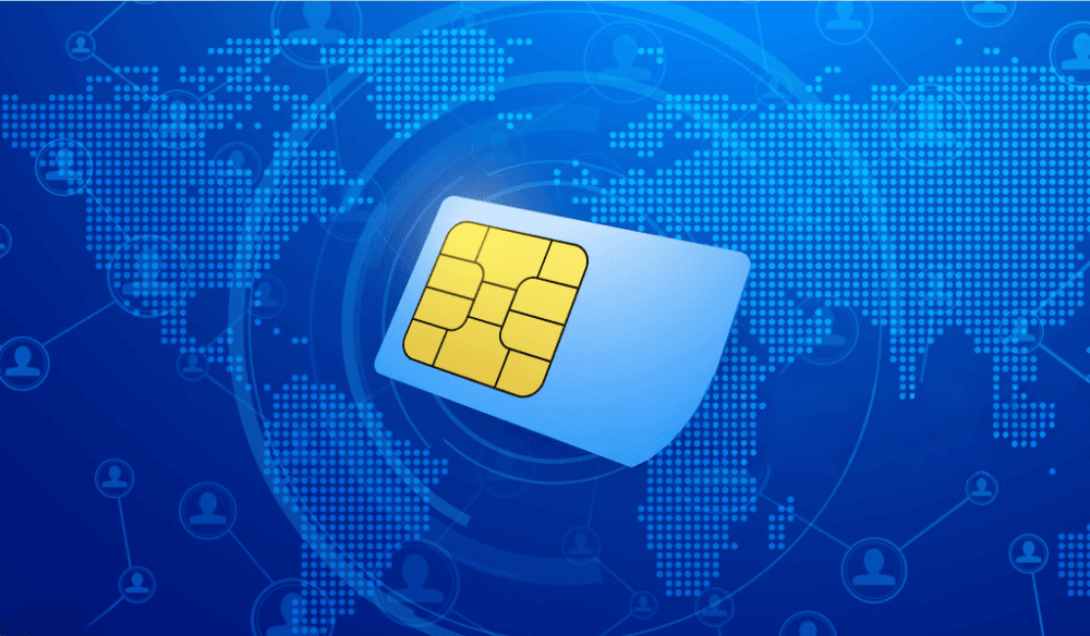 1787906938327-simcards